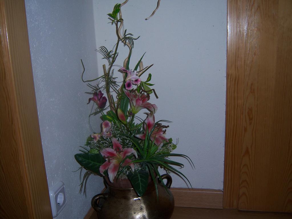 Casa Rogel Guest House Llesuy ภายนอก รูปภาพ